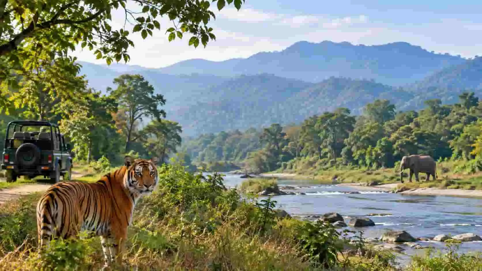 Shivalik hills and forest landscape of Rajaji National Park