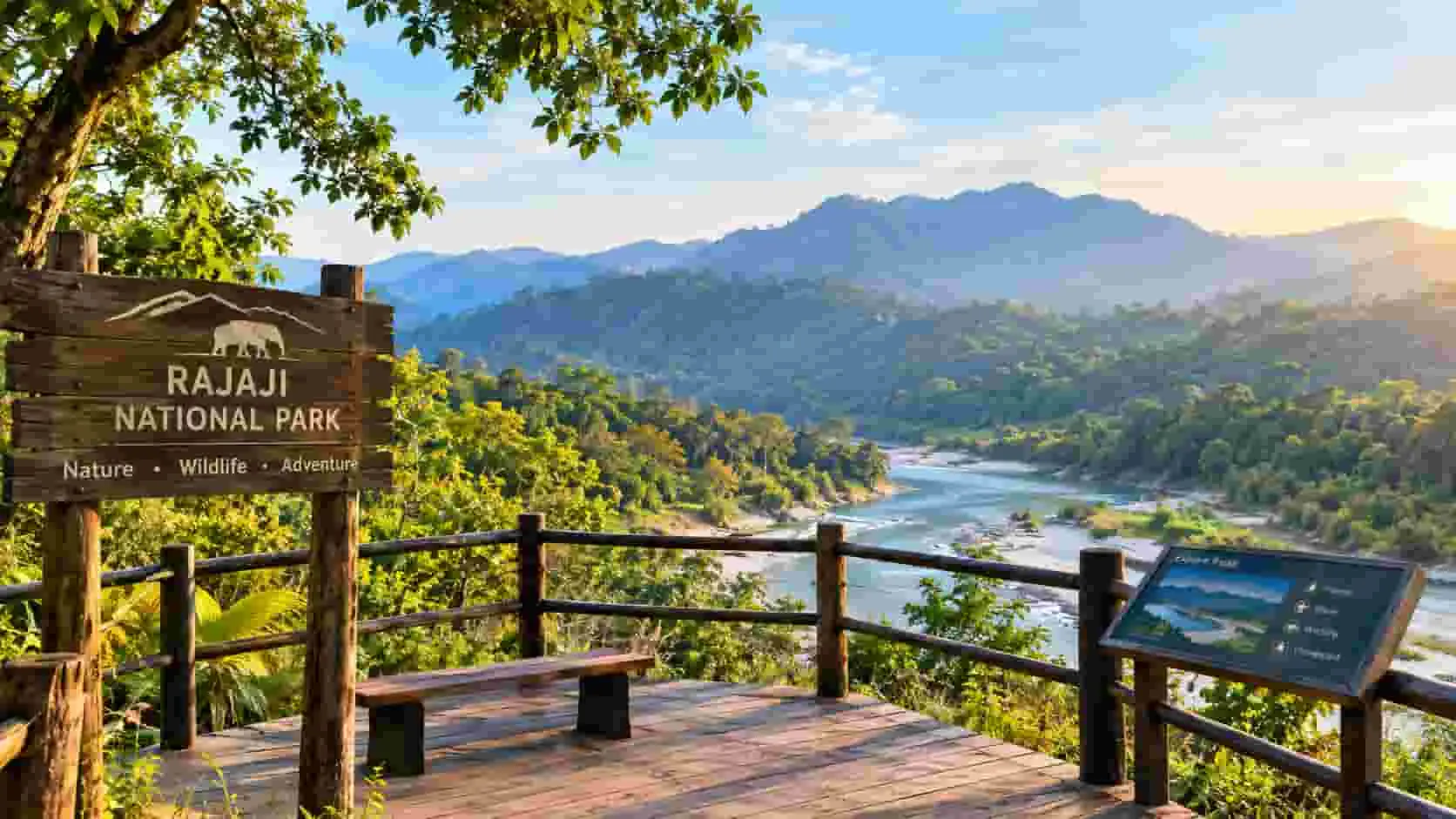 Jeep safari experience in Rajaji National Park