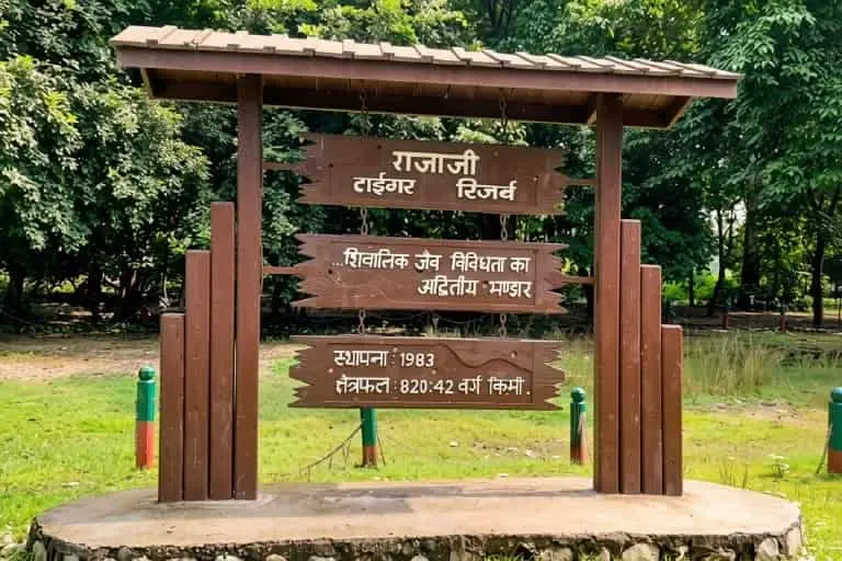 Rajaji National Park landscape in Uttarakhand