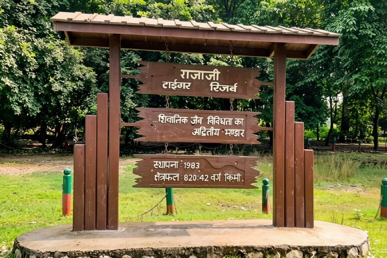 Rajaji National Park Wildlife
